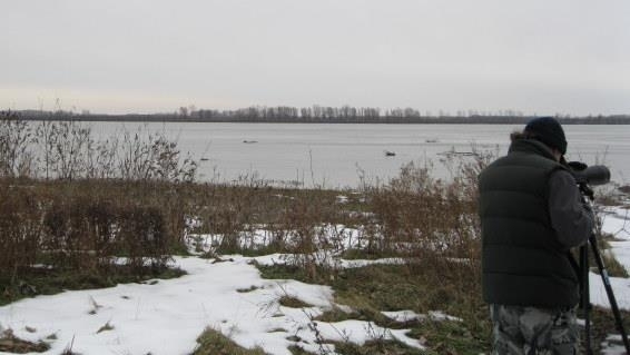 Над 3 500 птици от 22 вида бяха регистрирани по