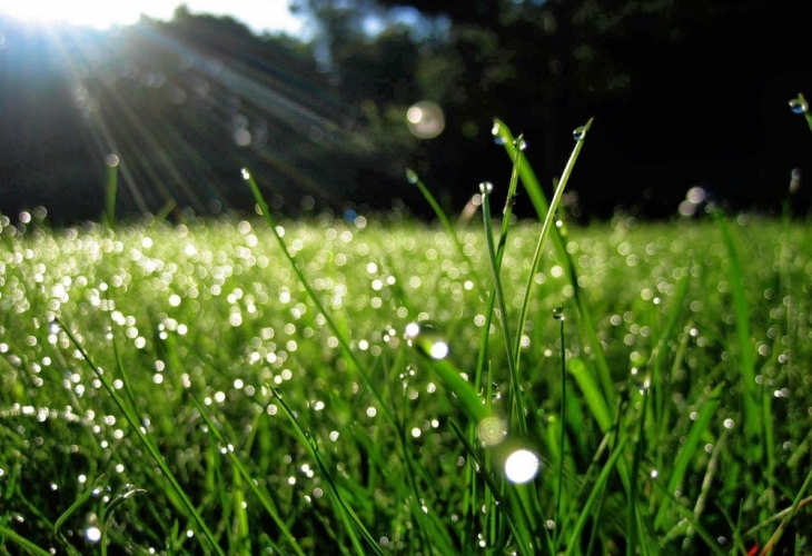 Атмосферното налягане е близко до средното за месец май 946