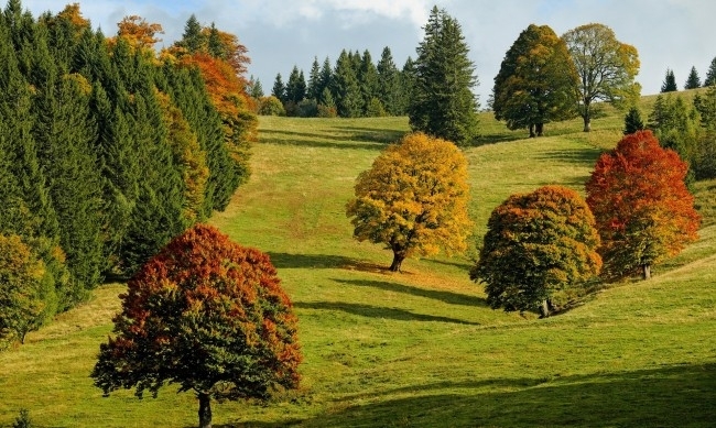Времето ще се промени рязко следващата седмица прогнозира Красимир Стоев