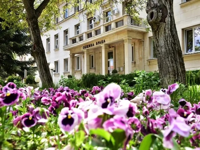 Община Враца ще разкраси града с близо 20 000 цветя