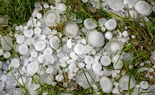 Интензивна градушка нанесени щети в Трявна Съборени са няколко големи