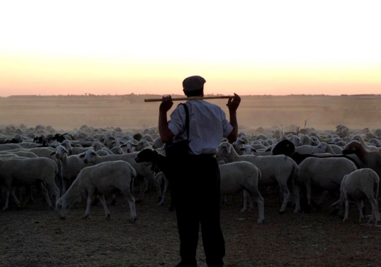 Интересна обява може да се види в социалната мрежа Facebook