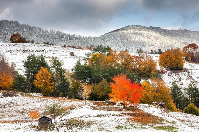До края на седмицата времето ще е облачно понякога дъждовно