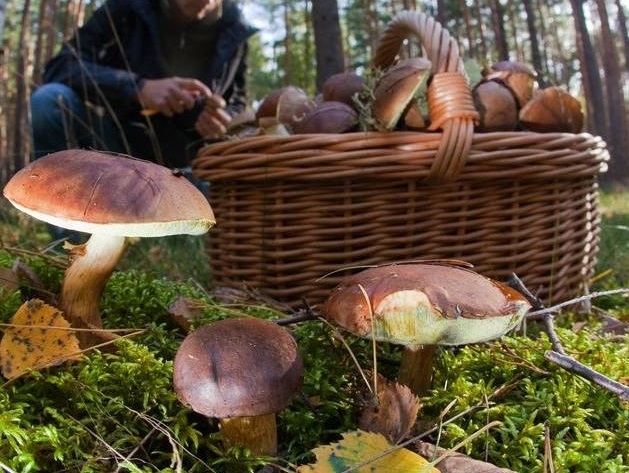 49 годишен мъж от доспатското село Бръщен ще бъде обявен за