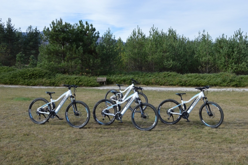 Жители и гости на Вършец ще могат да се радват