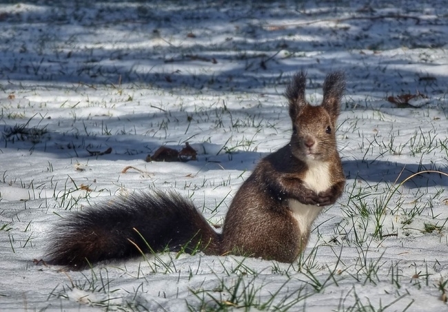 Днес ще е предимно слънчево Ще духа слаб до умерен вятър