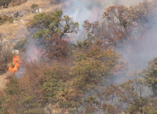Пожарът над Чипровци се разраства. Огънят вече е обхванал между