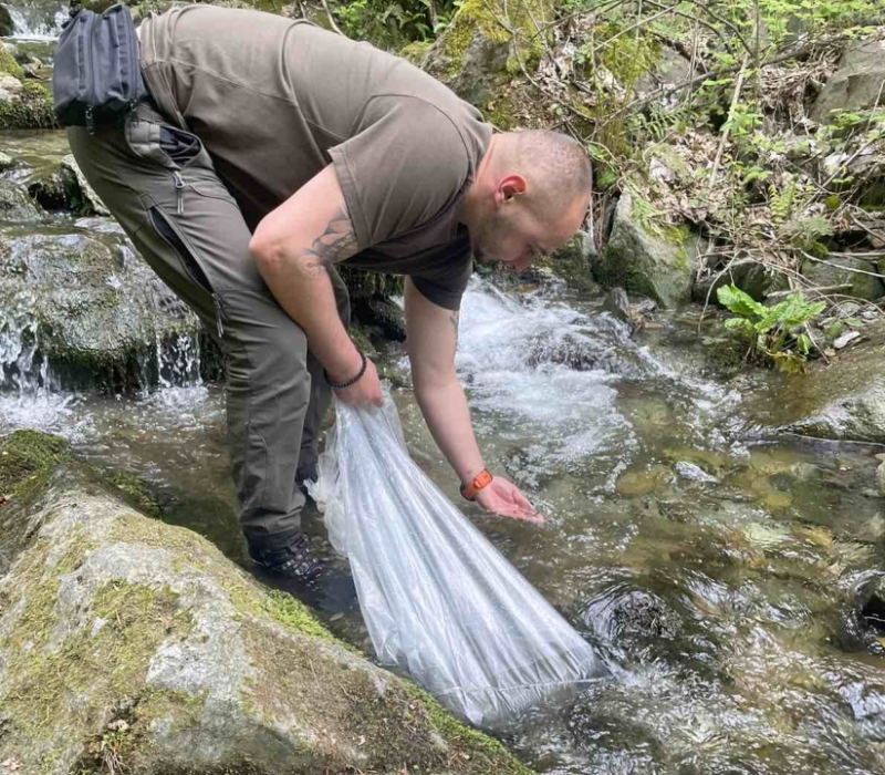 Пролетно зарибявaне с 12 000 екземпляра балканска пъстърва извършиха служители