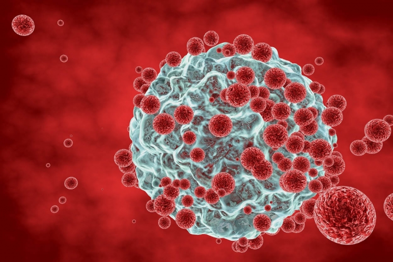 България и Кипър оглавяват негативната класация за най висока смъртност