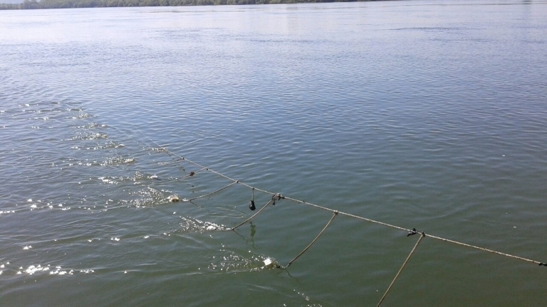 Поради размножителния период до края на май е забранен уловът