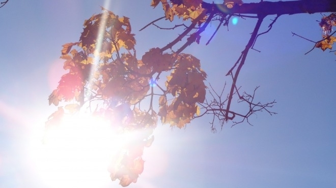 През деня ще бъде предимно слънчево Ще духа слаб до умерен вятър