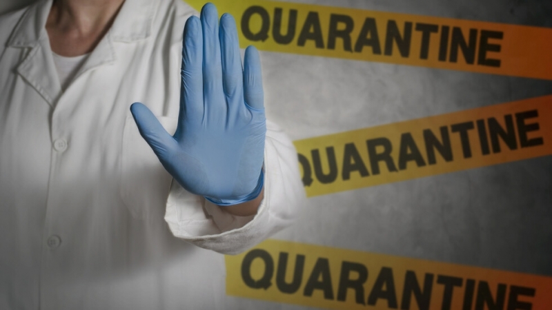 Между 24 000 и 25 000 души среднодневно са поставени