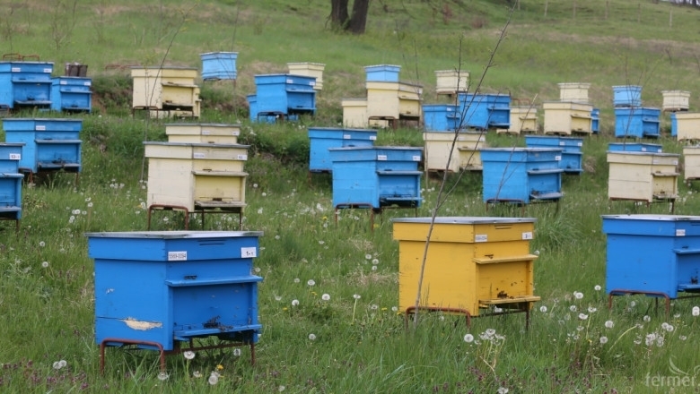Крадци са отмъкнали пчелни кошери от монтанското село Владимирова съобщиха
