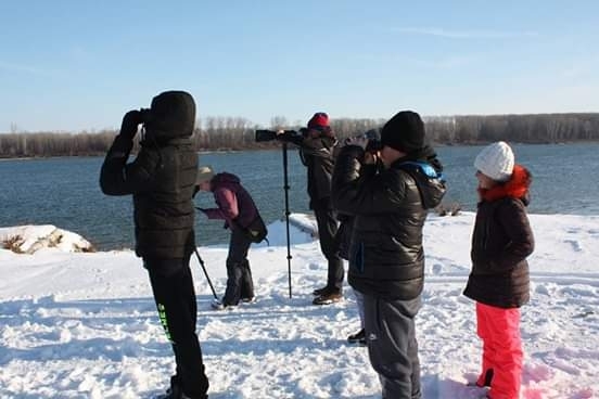 Този уикенд се проведе 43 то Среднозимно преброяване на водолюбивите птици