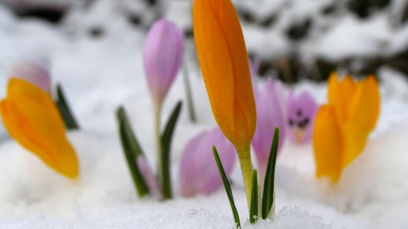 Студен и мокър уикенд, затоплянето e на хоризонта