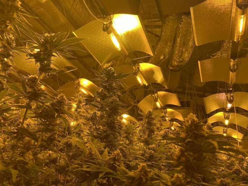 С решение на съда в ареста остават двамата арестувани при акцията