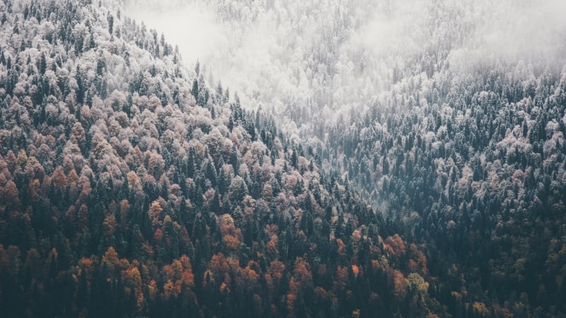 Облачно и дъждовно ще бъде времето до края на седмицата