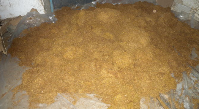 Фабрика за производство на нелегален тютюн разкриха служители на ОДМВР Разград