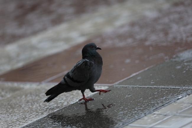 Днес ще бъде предимно слънчево Ще има временни увеличения на