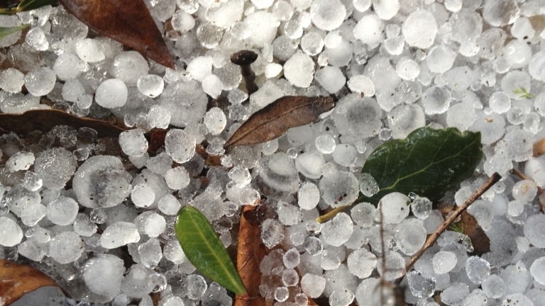 Нов данък Градушка ще вдигне цените на най масовите застраховки предупреждават