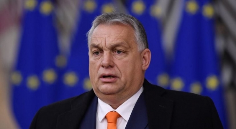 Парламентът на Унгария прие закон който на практика забранява осиновяванията