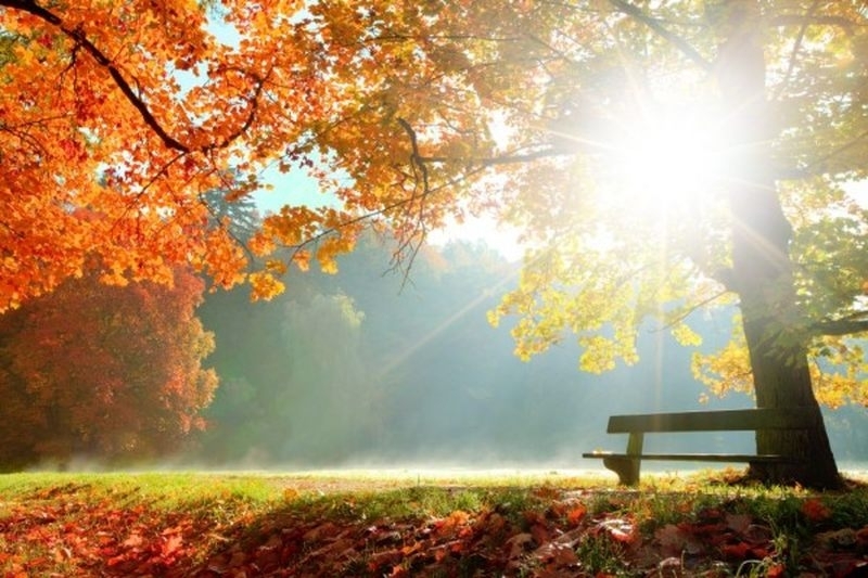 През нощта ще бъде предимно ясно със слаб вятър от