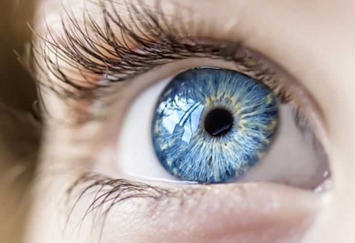 Ретината е уникална част от нашето тяло която дава възможност