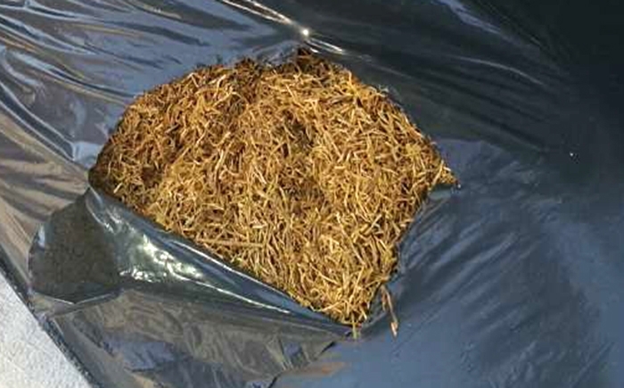 Млада жена е хваната с незаконен тютюн във Вълчедръм съобщиха