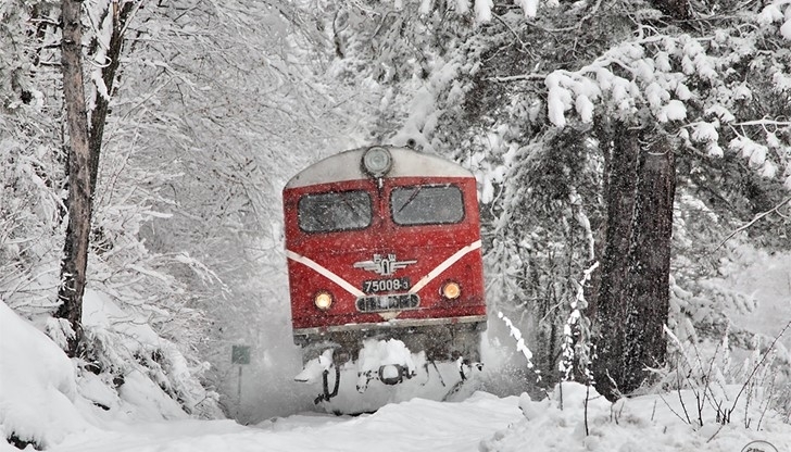 Машинистът който карал влака блъснал и убил човек в Монтана