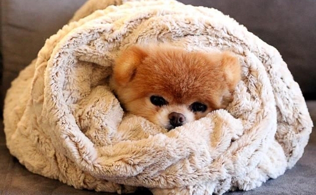 Минусовите температури определено не са приятни на никого Но нямаме друг