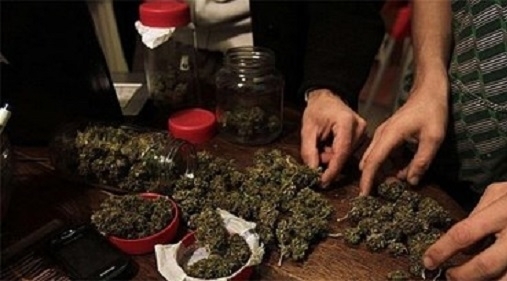 Полцията е открила огромно количество наркотици в къща във врачанското