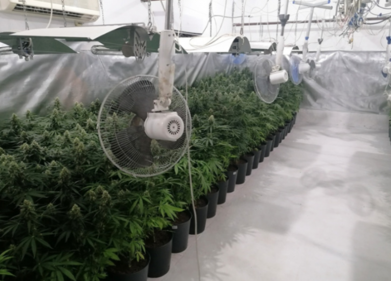 Разкриха закрита оранжерия за отглеждане и обработка на марихуана в