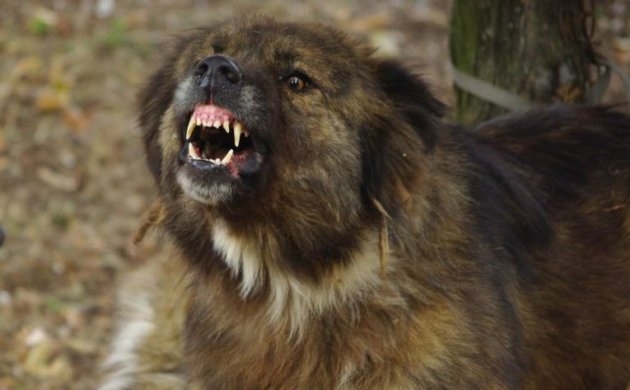 По обвинителен акт на Районна прокуратура Кърджали е осъдена