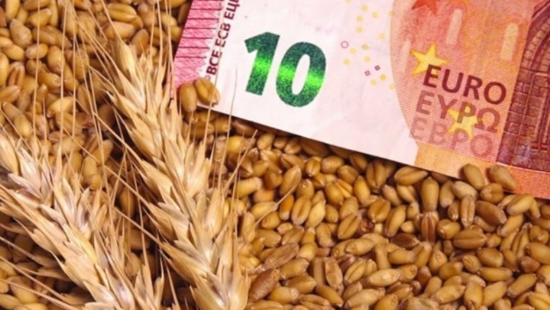 Спадът в цените на основните зърнени контракти по световните борсови