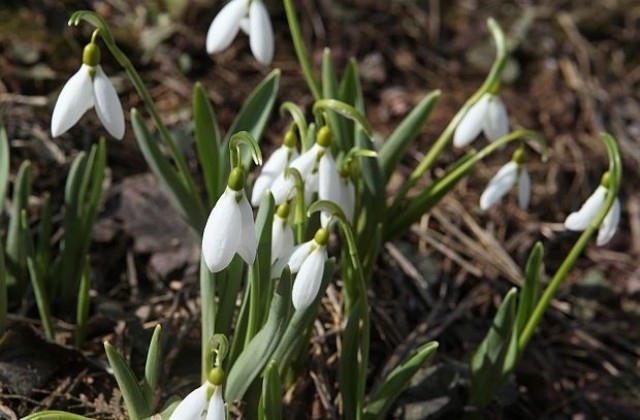 Рекордните за 18 януари 20 5 градуса са измерени в Монтана в 14 часа днес съобщи
