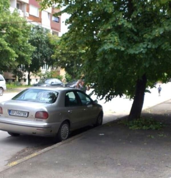 Съвместна проверка от звено Инспекторат и служители на полицията във