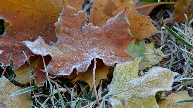 Топлото и сухо време от последните седмици което някои наричат