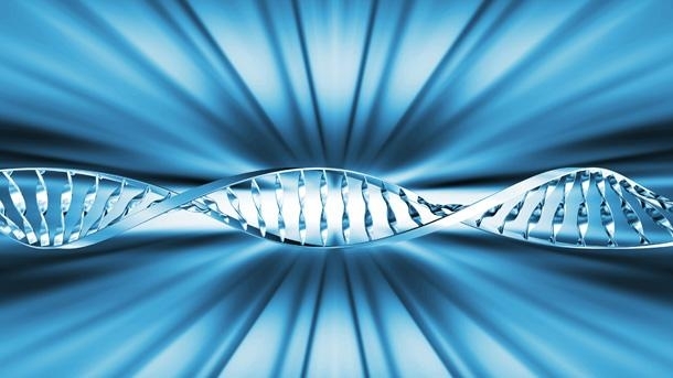 Специалисти от университета на Алберта в Канада установиха че протеинът