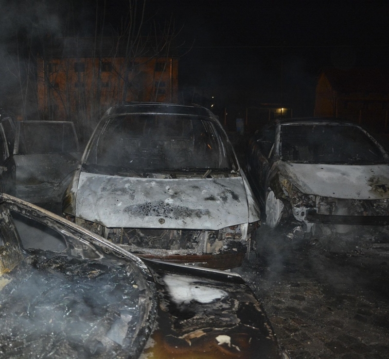 Три коли са изгорели в две села във Монтанско съобщиха
