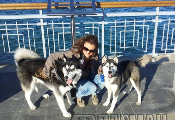 Куче откри безпомощна жена в канавка и я спаси от