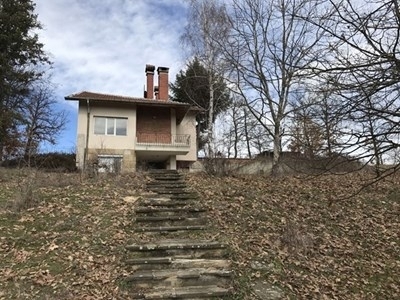 Признаха за виновна Петя Л която на 1 март т г