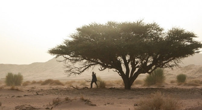 Силна пясъчна буря връхлетя югоизточните райони на Австралия На много