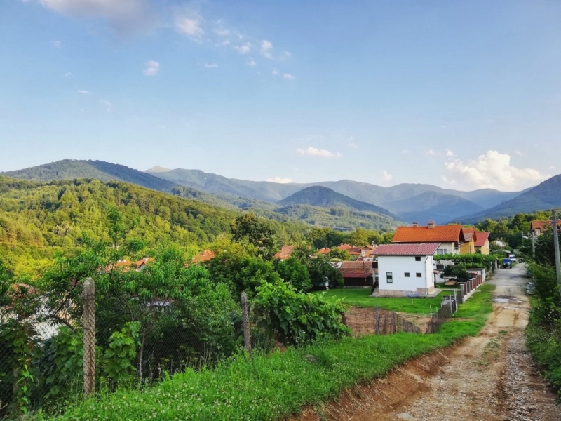 Частен съдебен изпълнител продава на търг производствен имот в монтанско