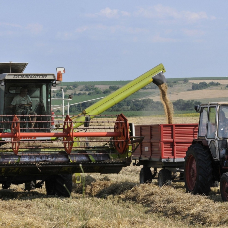 Цените на земеделска земя продължават да се увеличават показват офертите
