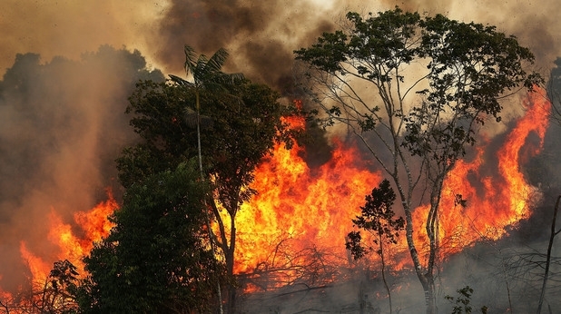 Бразилия отказа помощта на Г-7 за борба с пожарите в