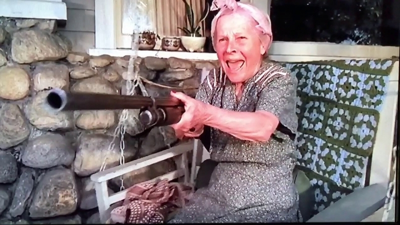 Натопиха баба от Монтанско скрила в дома си незаконна пушка
