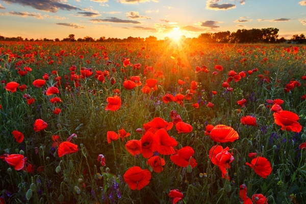 През месец май се очакват температури до 33 градуса прогнозират