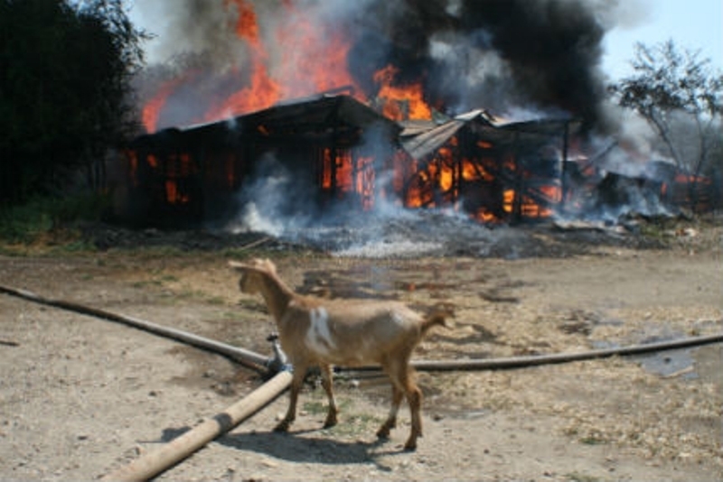 Пожар изпепели 2 тона фураж и покрив във Вършец научи