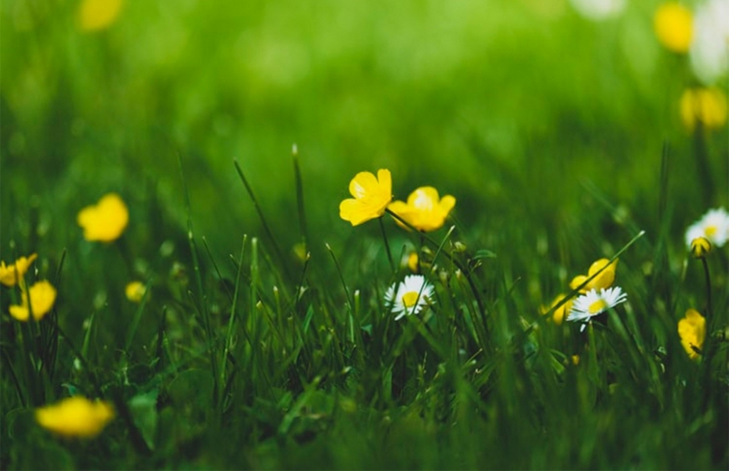 Днес ще е предимно слънчево След обяд над западната половина