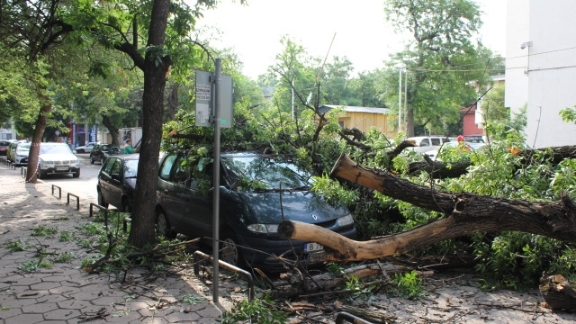 Дърво се стовари върху автомобил в центъра на Пловдив, предаде